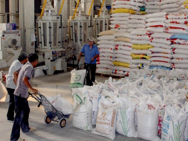 เวียดนามผลักดันการส่งเสริมการค้าในแอลจีเรีย